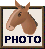 ܂ʐ^